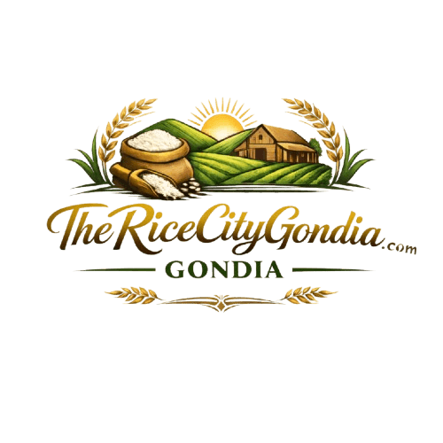 The Rice City Gondia